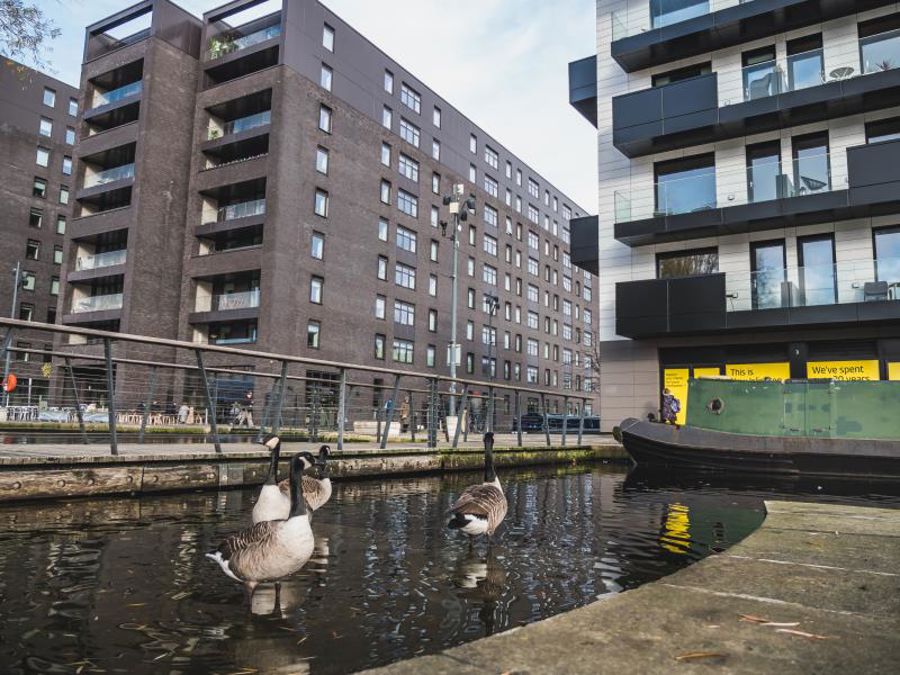 Mansion House :: New Islington  image 14