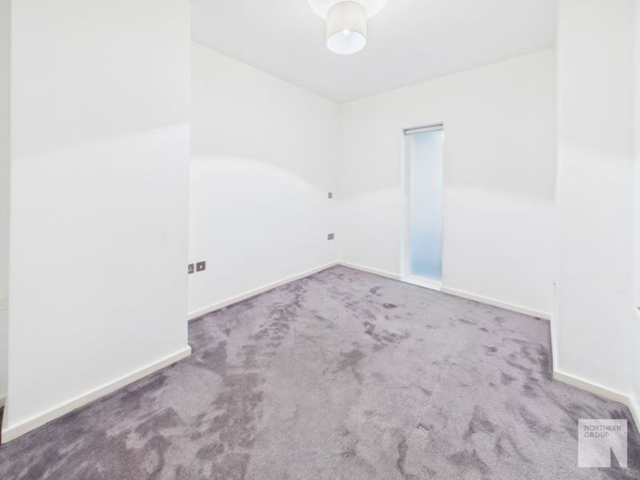 Apt 1.07 :: Ice Plant image 4