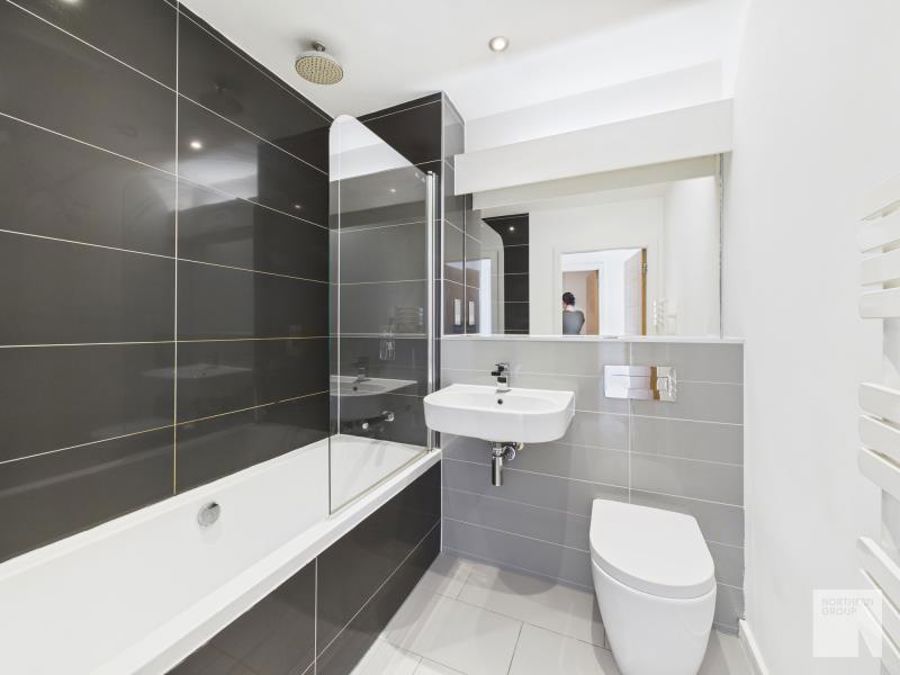 Apt 1.07 :: Ice Plant image 7