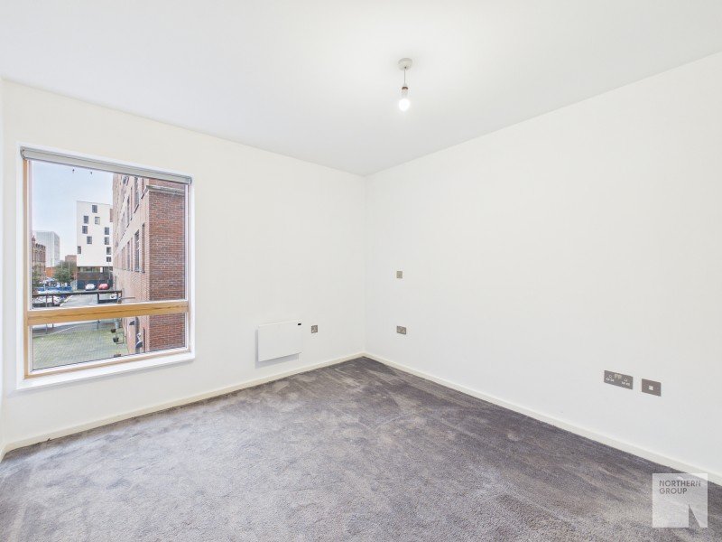 Apt 4.01 :: Ice Plant image 7