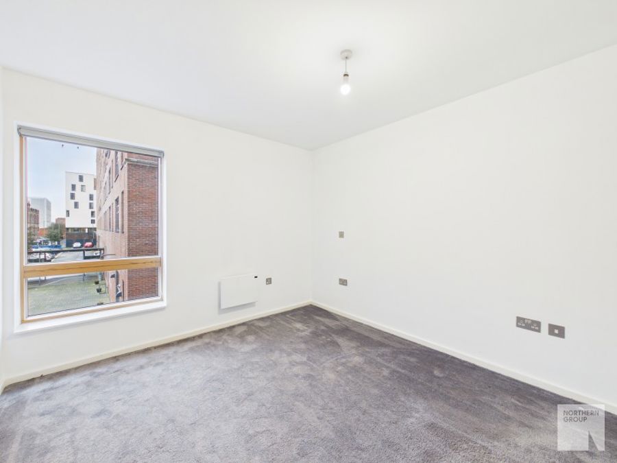 Apt 4.01 :: Ice Plant image 7