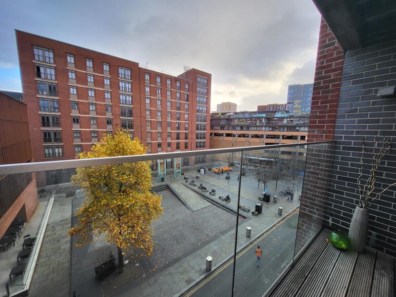 Apt 4.05 :: Ice Plant image 2