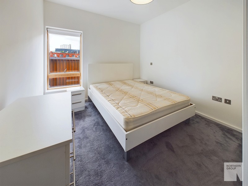 Apt 4.05 :: Ice Plant image 3