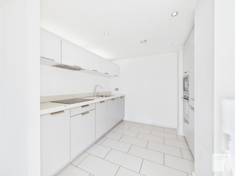 Apt 4.05 :: Ice Plant image 5