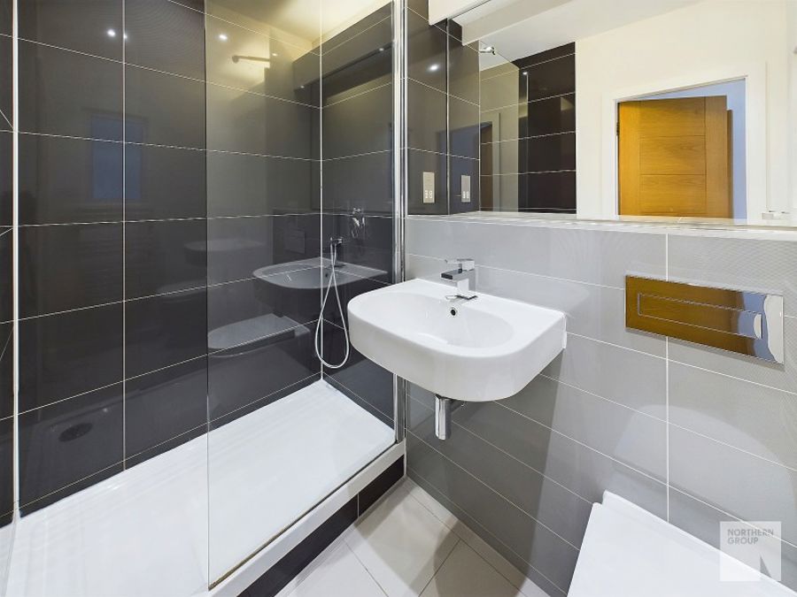 Apt 4.05 :: Ice Plant image 9