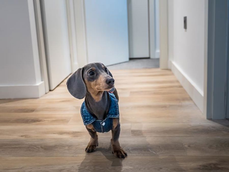 Flat 1 :: The Quarters image 2