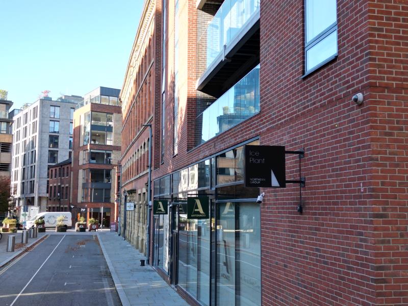 Apt 1.01 :: Ice Plant image 2