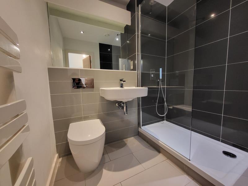 Apt 1.01 :: Ice Plant image 7