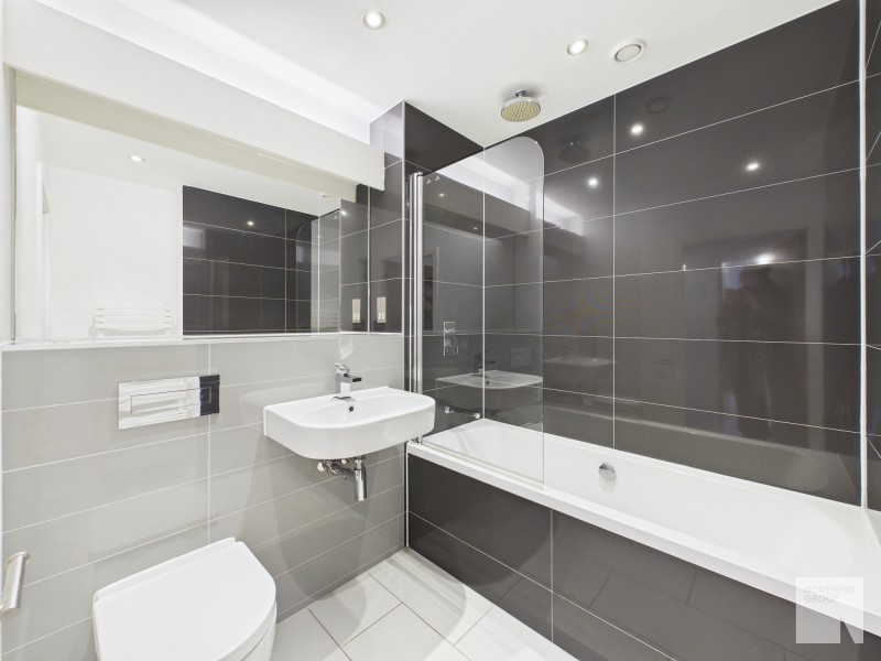 Apt 1.01 :: Ice Plant image 10