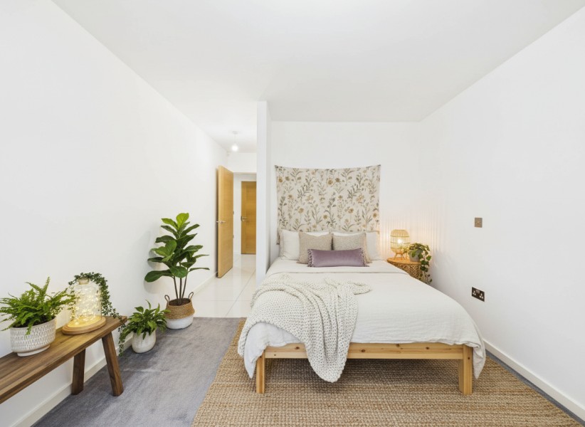 Apt 1.01 :: Ice Plant image 11