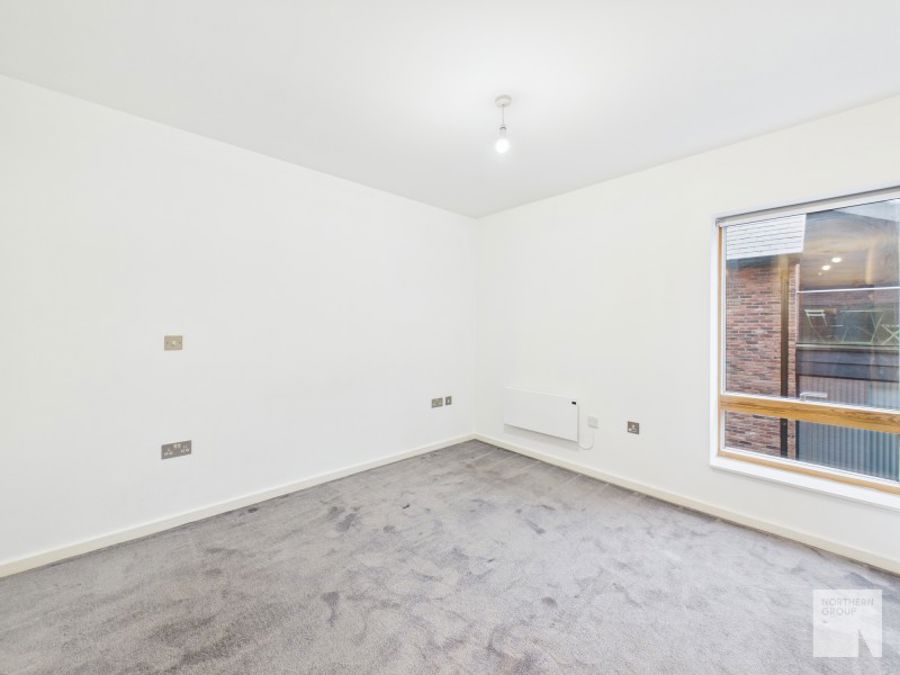 Apt 1.01 :: Ice Plant image 12