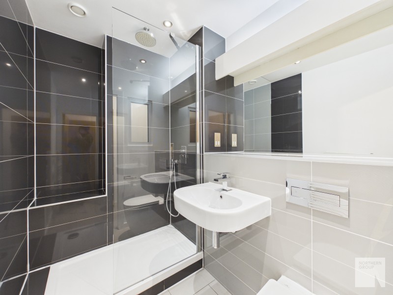 Apt 1.01 :: Ice Plant image 13