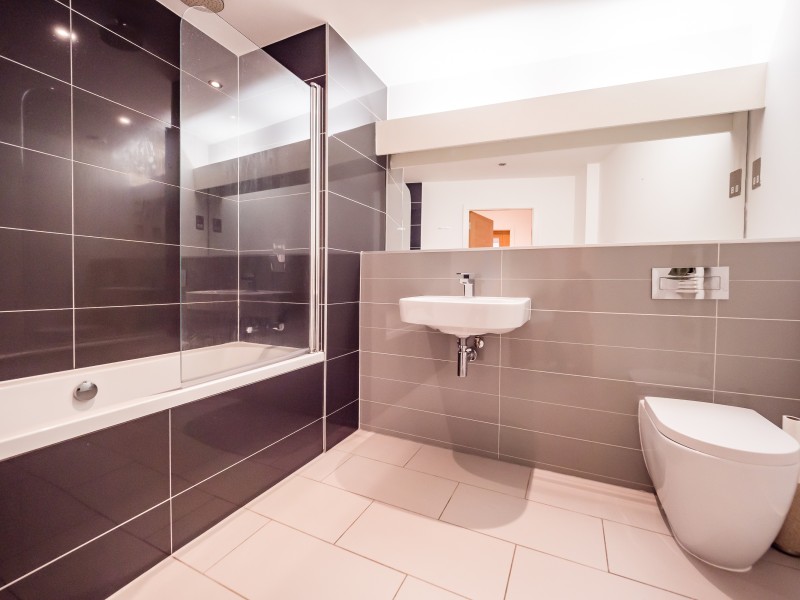 Apt 1.10 :: Ice Plant image 8