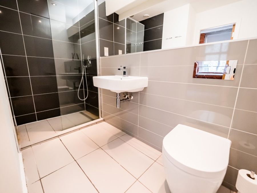 Apt 1.10 :: Ice Plant image 11