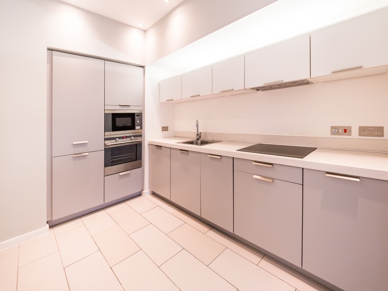 Apt 1.10 :: Ice Plant image 12