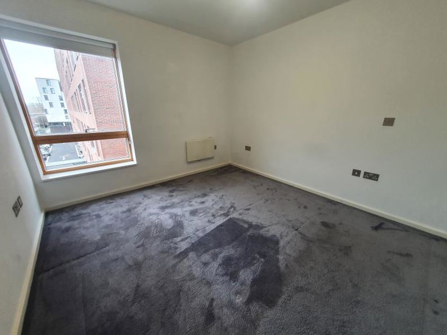 Apt 5.01 :: Ice Plant image 5