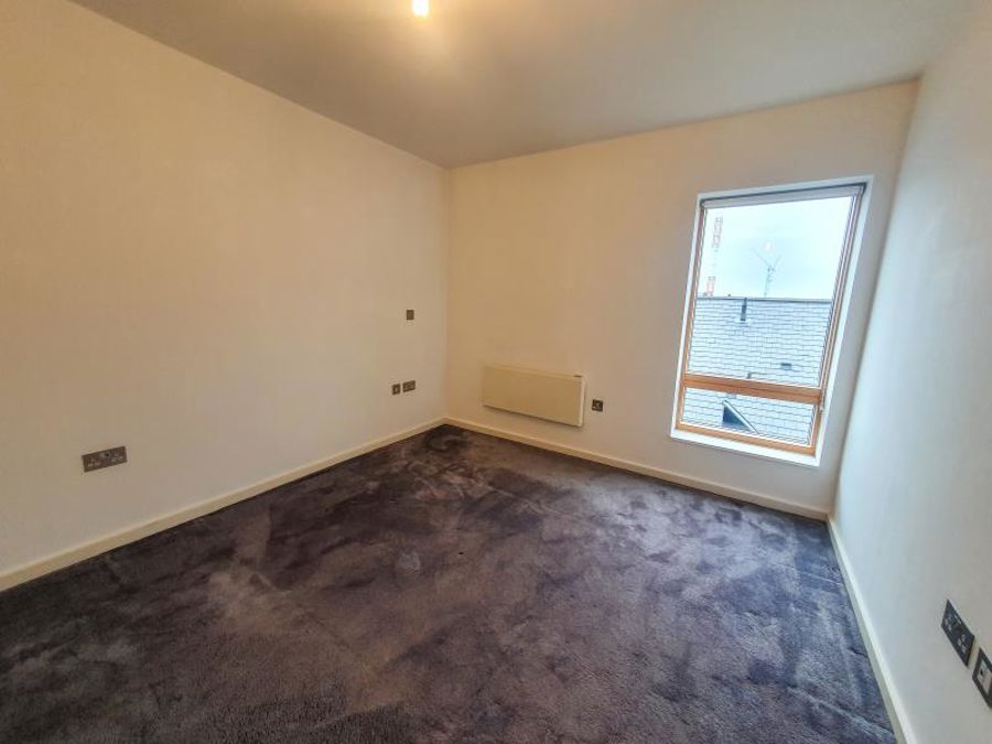 Apt 5.01 :: Ice Plant image 6