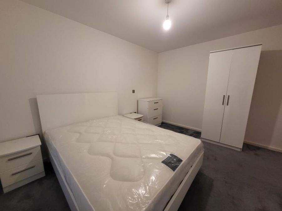 Apt 2.14 :: Ice Plant image 7