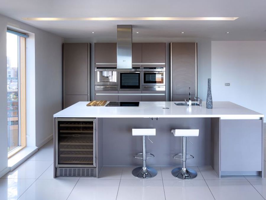 Apt 8.01 :: Ice Plant image 2