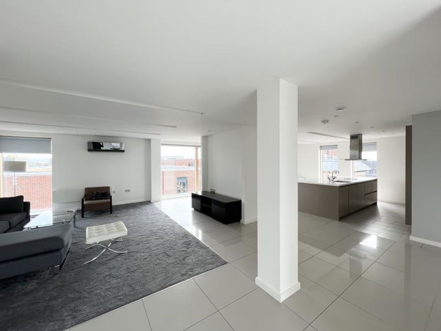 Apt 8.01 :: Ice Plant image 5