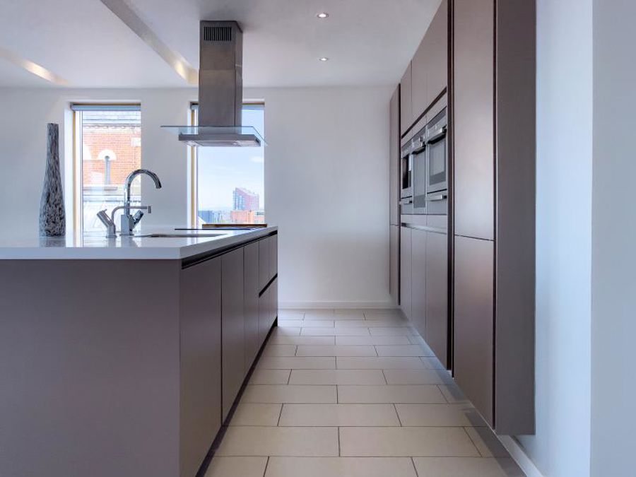 Apt 8.01 :: Ice Plant image 7