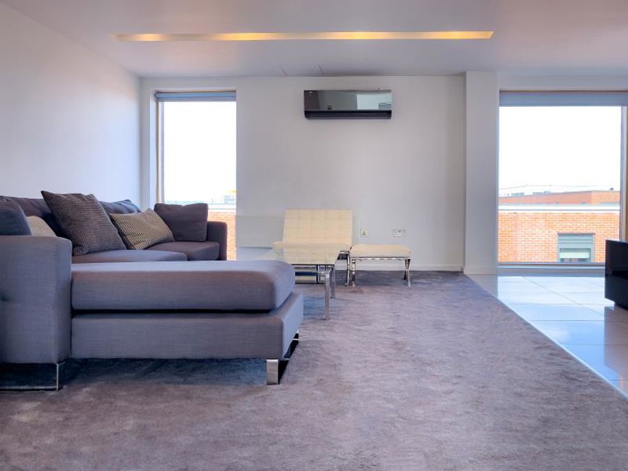 Apt 8.01 :: Ice Plant image 13