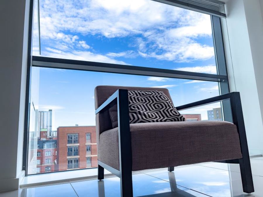 Apt 8.01 :: Ice Plant image 16