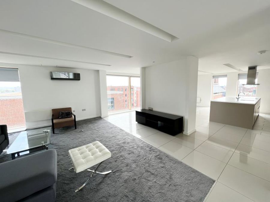 Apt 8.01 :: Ice Plant image 19
