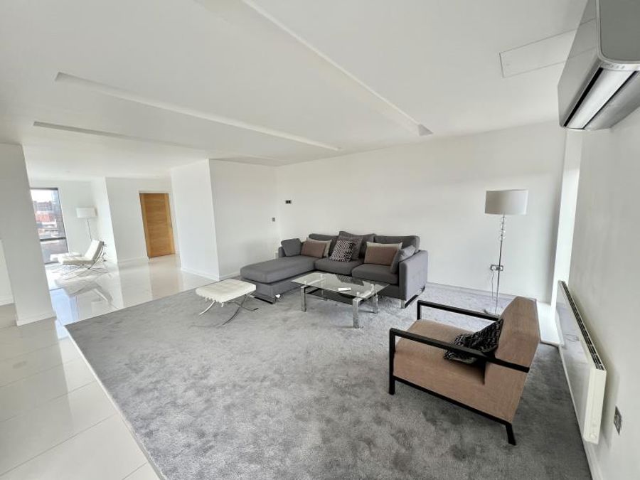 Apt 8.01 :: Ice Plant image 21