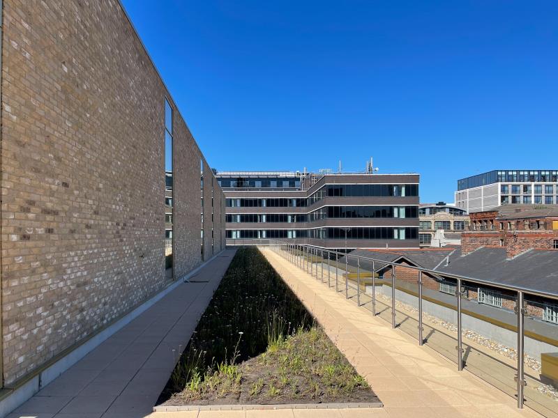 Apt 8 :: The Quarters image 13