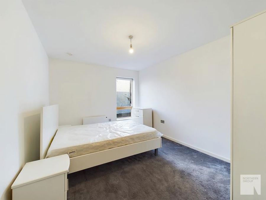Apt 3.11 :: Ice Plant image 6