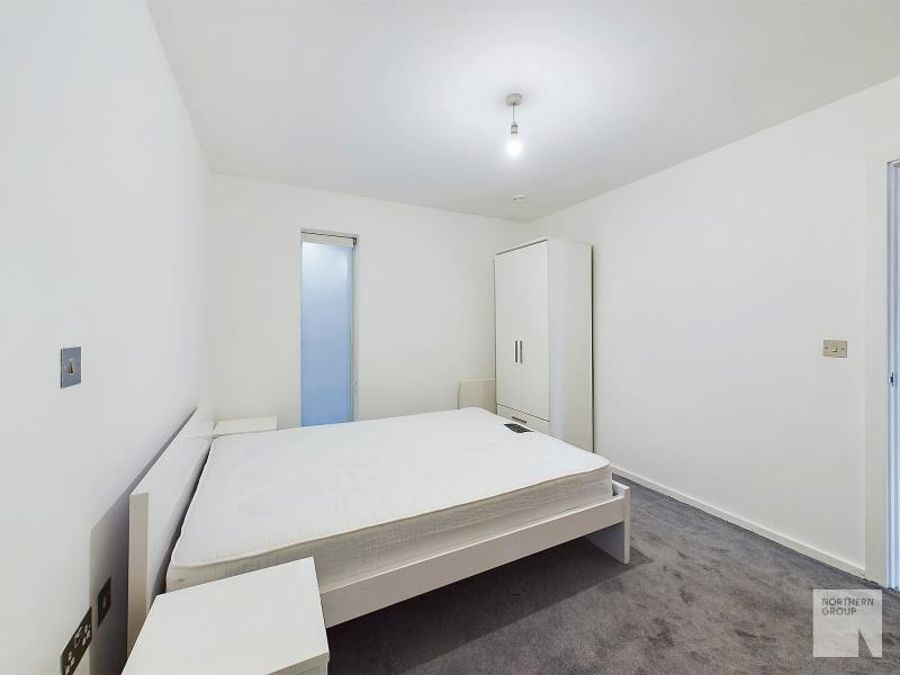Apt 3.11 :: Ice Plant image 10