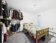 Apt 2.15 :: Ice Plant image 4