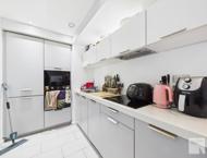 Apt 2.15 :: Ice Plant image 11