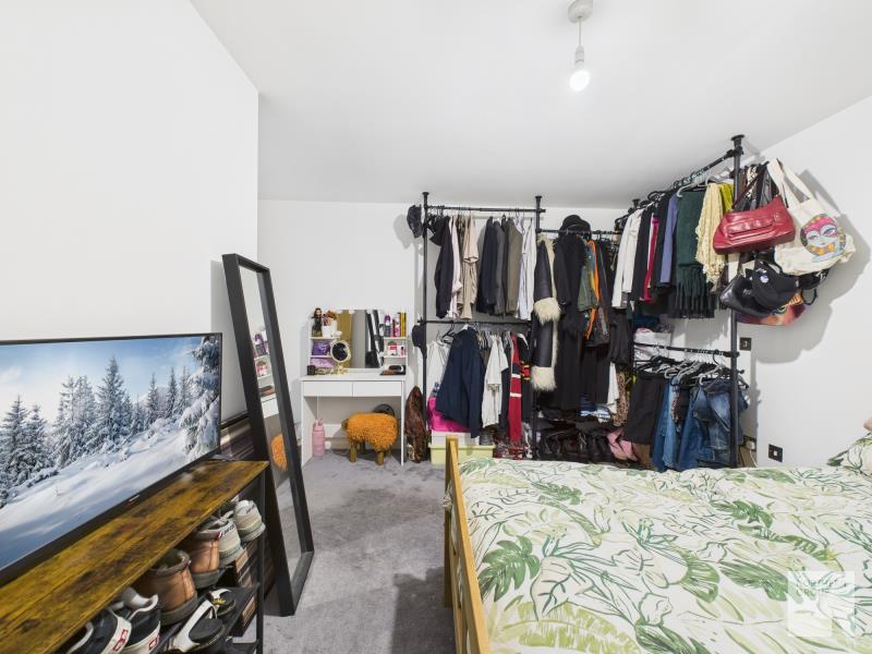 Apt 2.15 :: Ice Plant image 13