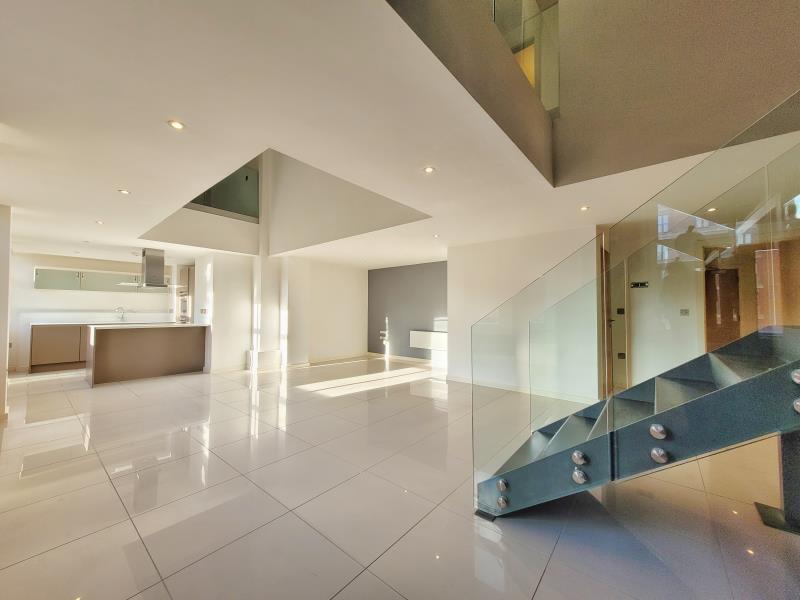 Apt 3.09 :: Ice Plant image 3