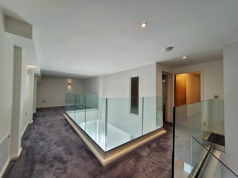 Apt 3.09 :: Ice Plant image 8