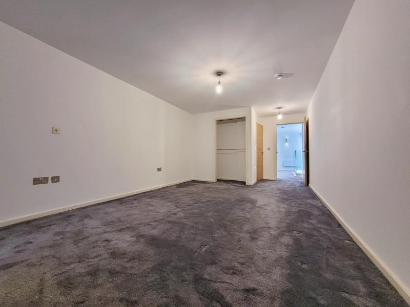 Apt 3.09 :: Ice Plant image 10