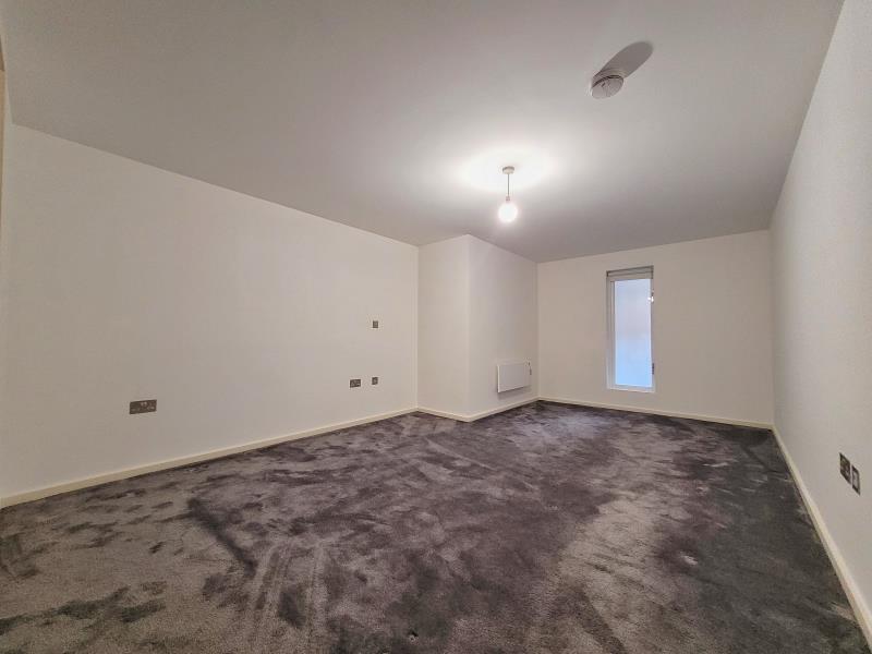 Apt 3.09 :: Ice Plant image 11