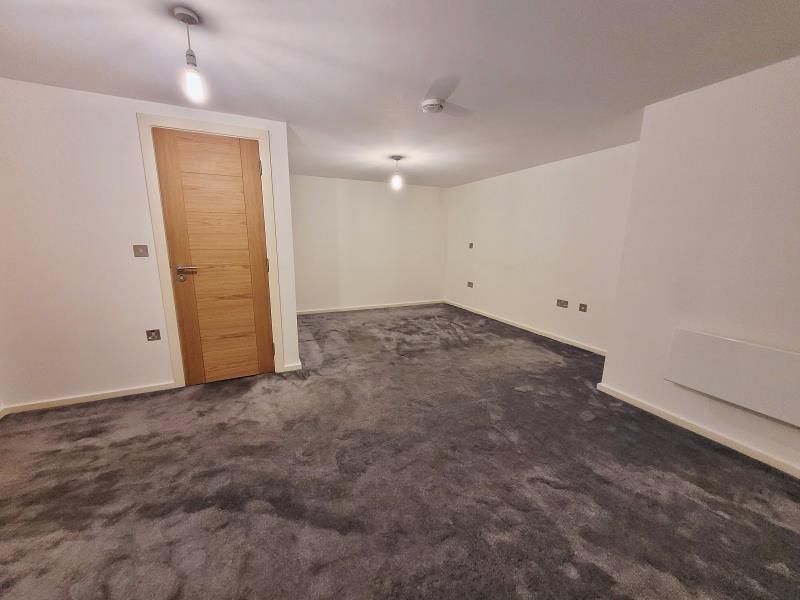 Apt 3.09 :: Ice Plant image 12