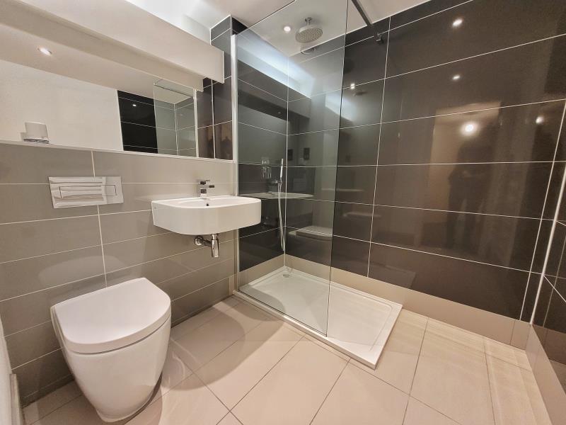 Apt 3.09 :: Ice Plant image 13