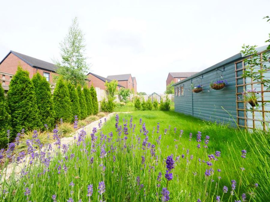 Holland Street :: Miles Platting image 4