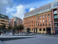 Apt 3.16 :: Ice Plant image 4