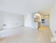 Apt 3.16 :: Ice Plant image 5