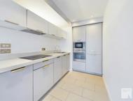 Apt 3.16 :: Ice Plant image 7