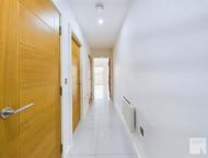 Apt 3.16 :: Ice Plant image 10