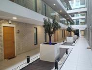 Apt 3.16 :: Ice Plant image 11