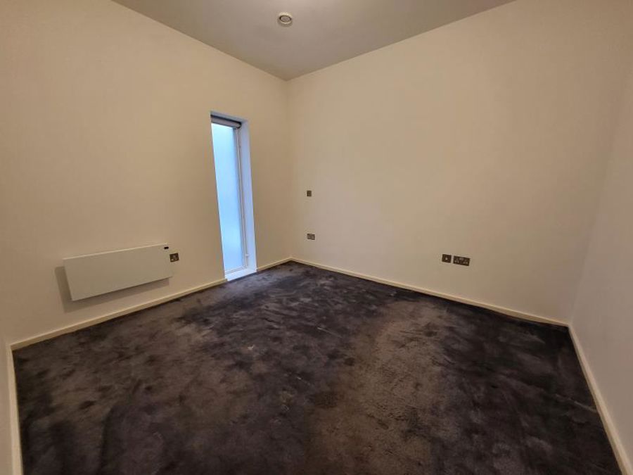 Apt 4.10 :: Ice Plant image 4