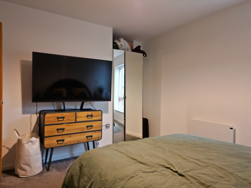 Apt 3.02 :: Ice Plant image 7