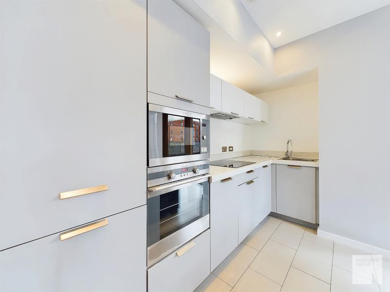 Apt 4.03 :: Ice Plant image 4